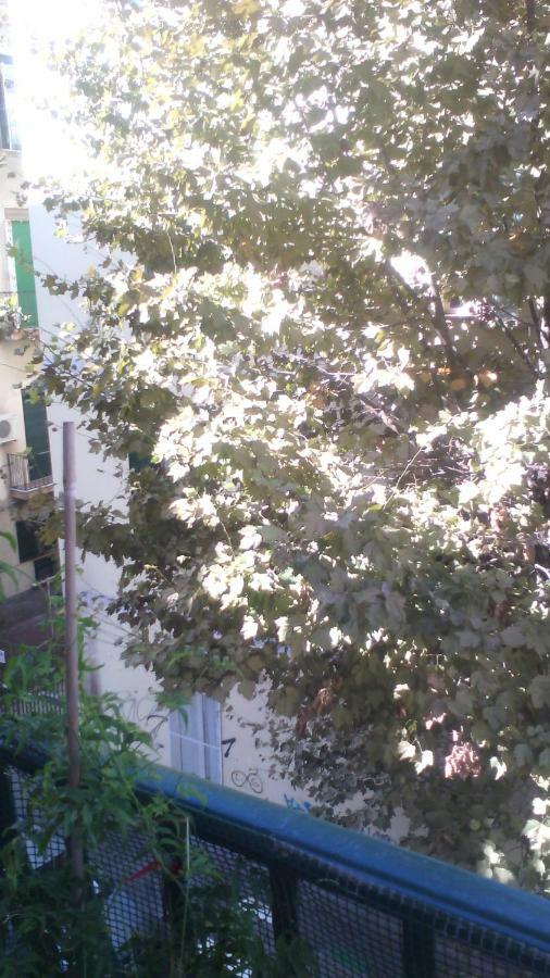 Luce Di Naples